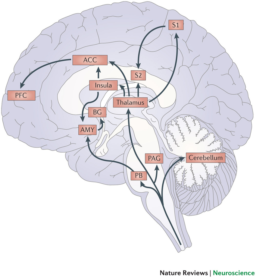 chronic pain and depression