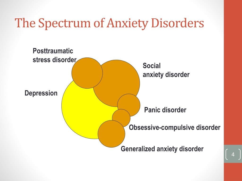 The spectrum of anxiety disorders